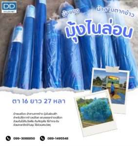 DD NYLON NET มุ้งไนล่อนฟ้า ผ้าแยงเขียว