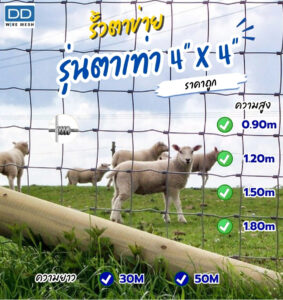 DD WIRE MESH รั้วตาข่ายถักปม รุ่นตาเท่า 4″x4″