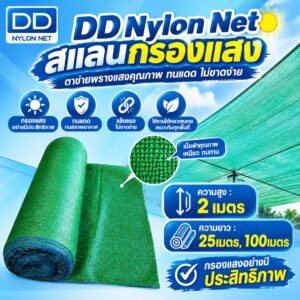 DD Nylon Net สเเลนกรองเเสง
