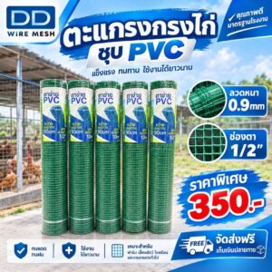 DD Wire Mesh ตระเเกรงกรงไก่ ชุบ PVC สีเขียว